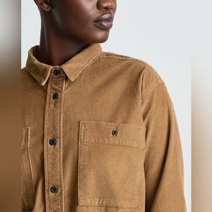 Everlane Brown Button Down Shirt